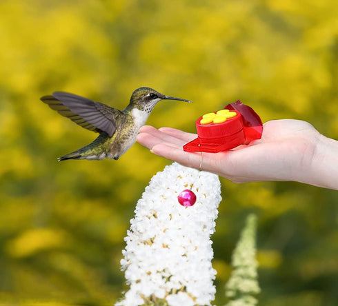 Hand Hummingbird Feeder, 3 Pack Mini Flower Handheld Hummingbird Feeding Tools with Cleaning Brush, Window Humming Wild Bird Feeders for Backyard ...
