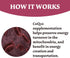 High Absorption - CoQ10 Gummies 200mg - Non-GMO - Gluten-Free - Coenzyme Q10 - CoQ10 Gummies - 60 Count - Raspberry Flavored...