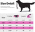 IVY&LANE Reflective Dog Collar and Leash Set,Adjustable Neoprene Padded Dog Collars, Breathable Nylon Pet Collar for Small Medium Large Dogs, 5FT ...