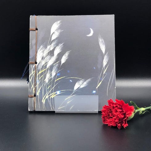 Clear Acrylic Book Stand with Ledge, Transparent Book Holder Display Stand for Displaying Pictures, Books, Cookbooks, Menus, Music Sheets, CDs, No...