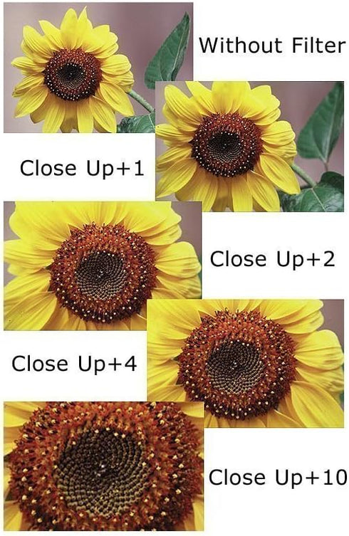 46mm Close-Up Set (+1, 2, 4 and +10 Diopters) for Panasonic Lumix DMC-G7 Camera with 14-42mm Lens, Lumix G 20mm f/1.7 II, Lumix G 25mm f/1.7, LUMI...