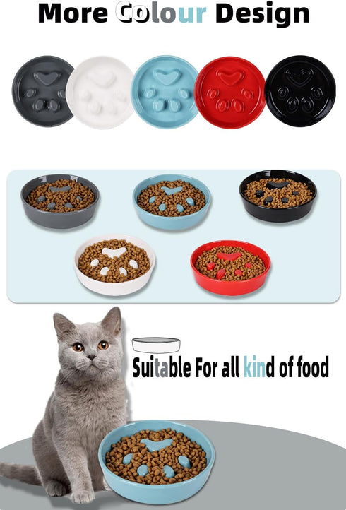 Slow Feeder Cat Bowls, Ceramic Fun Slow Eater Bowl for Cats (Turquoise)...