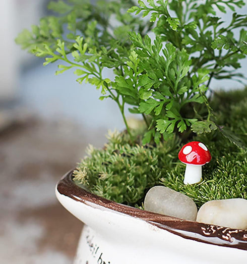 Exasinine 64 Pcs Mini Mushroom Tiny Mushroom Resin Mushroom Decor Miniature Figurines Fairy Garden Miniature Moss Landscape DIY Terrarium Crafts f...