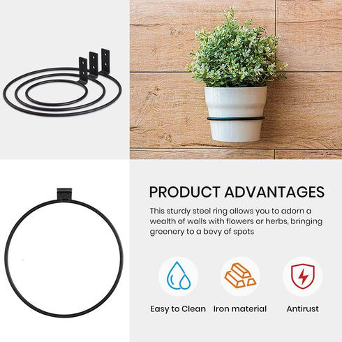 TreeLen Flower Plant Holder Ring Wall Mounted,4 Inch Plant Wall Hanger Rings,Metal Plant Holders Wall Planter Hook 3 Pack Black...