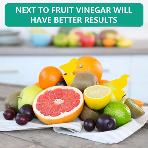 Yellow Traps 50 Pack Gnat Sticky Traps for Indoor/Outdoor House Plants Fungus Traps Insect Catcher for Mosquitoes, Plant gnat Sticky Traps (45?45+...