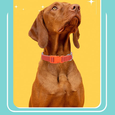 Full Reflective Dog Collar Adjustable Soft Padded Nylon Pet Collars Durable D-Ring Quick Release Buckle Working Collars for Small Medium Large Dog...