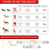 Dog Collar and Leash Set, Nylon Collar and Leash for Dogs Classic Solid Colors for Small Medium Large Dogs (Blue, Medium, Collar 14-20", 3/4")...
