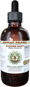Hawaii Pharm Madder Root Alcohol-FREE Liquid Extract, Madder Root (Rubia Tinctoria) Dried Root Glycerite Natural Herbal Supplement, USA 2 oz...