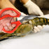 Calary 8Pcs Seafood Scissors Crab Scissors Seafood Shears Multifunctional Crab Leg Crackers and Tools...
