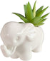 Cute Animal Elephant Shaped Ceramic Succulent Cactus Air Plant Flower Pots Planters-Plant Not Included (Small White)...