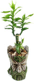 Funny Planter Head Planter with Drainage Hole Resin Plant Pot Pencil Holder Desk Storage(Mustache Man)...