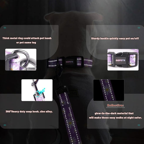 Reflective Dog Collar Leash Combo: Puppy Small Medium Large Adjustable Cute Matching Collar Set for Pet Girl/Boy Comfy Easy Walk Running Outdoor H...