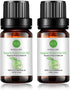 Rainbow Abby 2-Pack Apple Essential Oil, Pure, Undiluted, Therapeutic Grade - 2x10 mL...