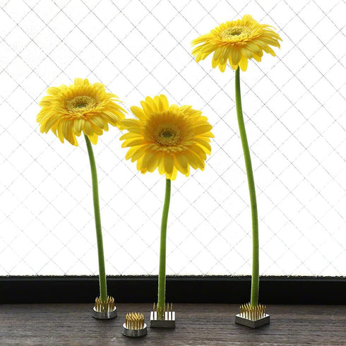 Wazakura 4PCS Mini Ikebana Kenzan Japanese Flower Holder, Made in Japan, Floral Arranging Pin Frog, Round Square - 1"(24mm) Brass...