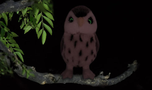 Ice King Bear Owl Stuffed Animal Luminous Eyes, Cute Plush toy 10 Inches...