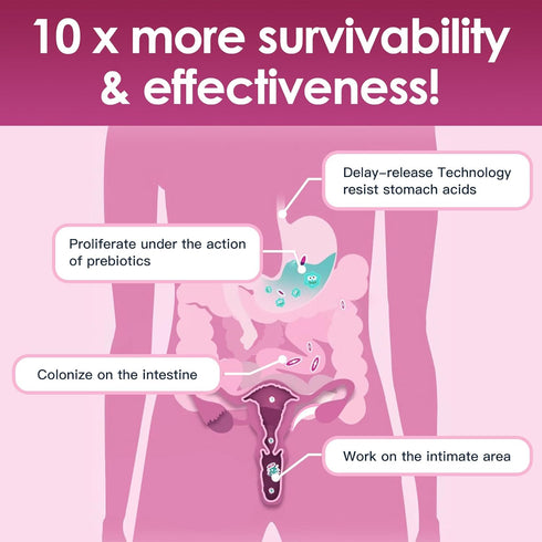 Probiotics for Women Digestive Health, Vaginal probiotics 120 Billion CFU 31 Strains with Digestive Enzymes & Prebiotics & D Mannose & Cranberry f...