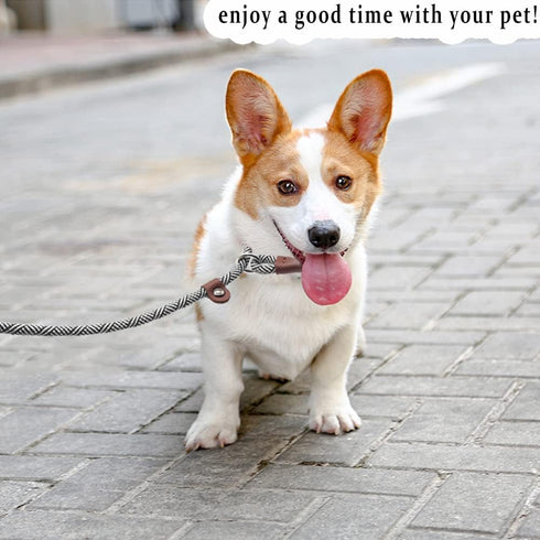 7FT Slip Lead Control Dog Leash, 1/4 Inch Diameter Durable Nylon Rope Training Lead for Small Medium Dog No Pull Black...