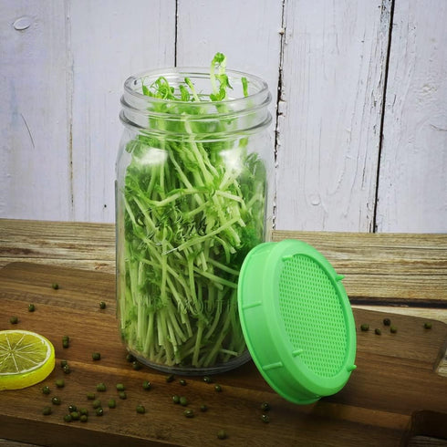 12 Pack Plastic Sprouting Lids for 86mm Wide Mouth Mason Jars, Sprouting Strainer Lid for Canning Jars, Suit for Grow Bean Sprouts, Alfalfa, Salad...
