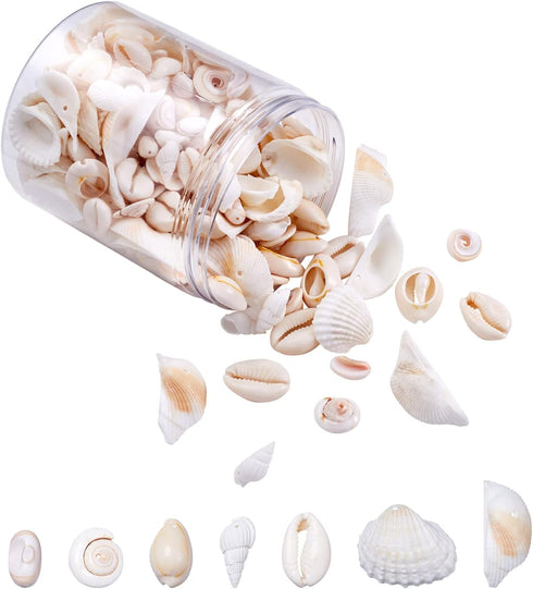 Cheriswelry 210pcs/box 21.5-24.5mm Natural Shell Making Finding Kit Ocean Beach Style Seashell Beads Pendants for DIY Necklace Bracelet Jewelry Ma...
