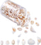 Cheriswelry 210pcs/box 21.5-24.5mm Natural Shell Making Finding Kit Ocean Beach Style Seashell Beads Pendants for DIY Necklace Bracelet Jewelry Ma...
