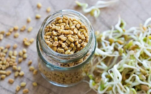 Fenugreek Sprouting Seed, Non GMO - 4 oz - Country Creek Acres Brand - Fenugreek for Sprouts, Garden Planting, Cooking, Soup, Emergency Food Stora...