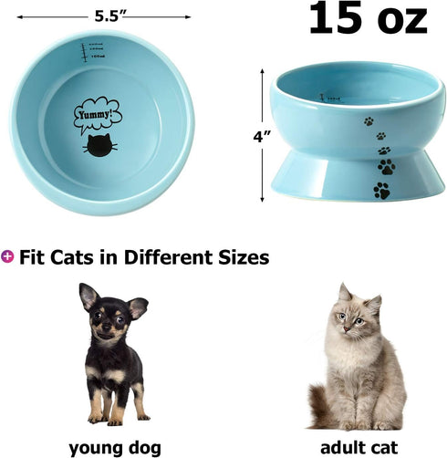 Y YHY Ceramic 15 Ounce Slanted Cat Food Water Bowl, Lake Blue...