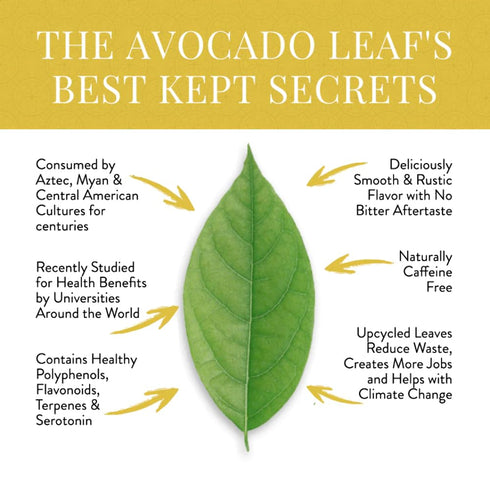 Avocado Leaf Lemon Tea Blend – Caffeine-Free | Healthy Herbal Tea | Immune Booster | Cold Brew or Hot Tea | 15 Tea Bags -30 Servings (Non-GMO)...