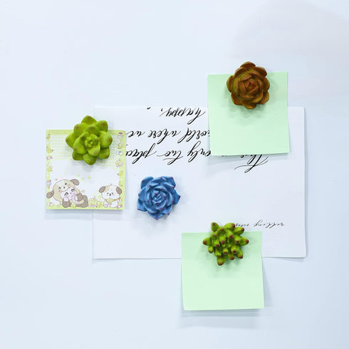 Plant Pattern 3D Resin Succulent Fridge Refrigerator Magnets, White Board Magnets for Home Refrigerator Office Display Board, Set of 8...