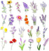 Flowers Stickers Set, Gift for Kids Teen, Cute Waterproof Vinyl Decals for Travel Luggage Suitcase Laptop Water Bottle Skateboard Bike Helmet Guit...
