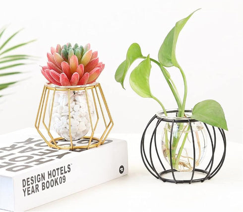 Glass Vase Nordic Small Flower Vase Clear Glass Bud Vases with Metal Geometric Iron Line Cup Vase Pot for Hydroponic Planter Flowers Rack Stand Mo...