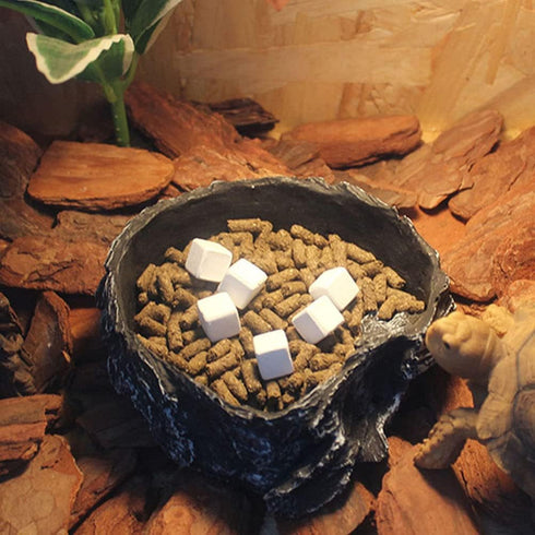 NUOBESTY 24pcs Fish Tank Calcium Stone Calcium Mineral Reptiles Molar Cube Calcium Supplement Grinding Rock Block for Freshwater Aquarium Tank...