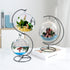 Ornament Display Stand Air Plant Stand Iron Hanging Stand Flower Pot Stand Rack Holder for Hanging Glass Globe Witch Ball Terrarium Christmas Orna...