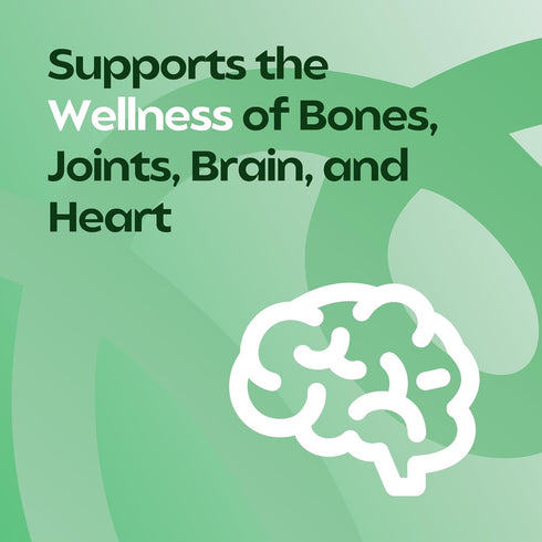 Moringa Powder Capsules - 800mg of Pure Nutrient-Rich Moringa Powder - A Natural Green Antioxidant Superfood - Supports Energy, Skin Health, Gut H...
