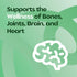Moringa Powder Capsules - 800mg of Pure Nutrient-Rich Moringa Powder - A Natural Green Antioxidant Superfood - Supports Energy, Skin Health, Gut H...