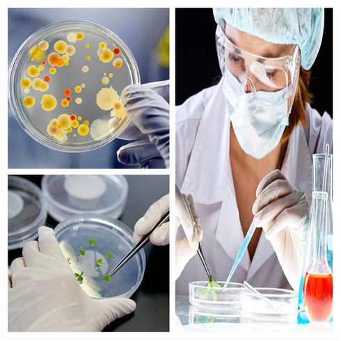 10 Pcs Plastic Petri Dish Sterile Bacterial Culture Dish Laboratory Plant Cell Tissue Culture Petri Dish Accessories Premium Cell Tissue Culture D...