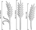 Straw Metal Cutting Dies, Flower Leaves Die Cuts for Scrapbooking DIY Album Card Making Decor Embossing Stencils Paper Craft Die Cuts Party Decora...