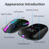 TaIYanG Wireless Mouse, 2.4G Portable Optical Quiet Cute Mouse with USB Receiver and Type C Adapter, 3 Adjustable DPI LED Wireless Mouse for Lapto...