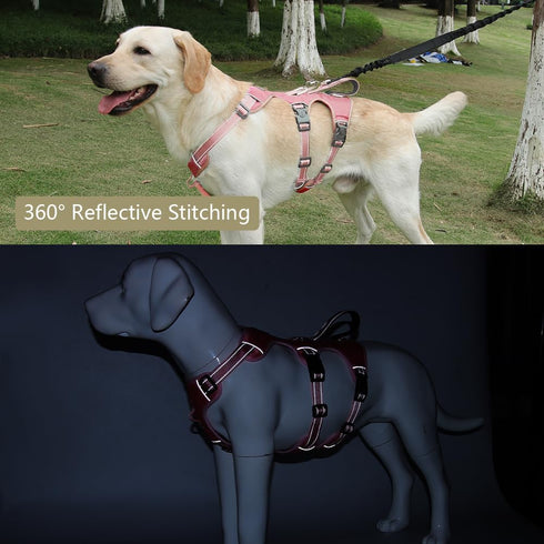 FEimaX Dog Harness No Pull Soft Padded Dog Vest with 3 Leash Clips and Easy Control Handle Reflective Adjustable No Choke Pet Harnesses for Medium...