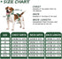 FEimaX Dog Recovery Suit After Surgery, Puppy Spay Neuter Prevent Licking Onesie Alternative Bandages E-Collar & Cone, Pet Abdominal Wounds Post S...