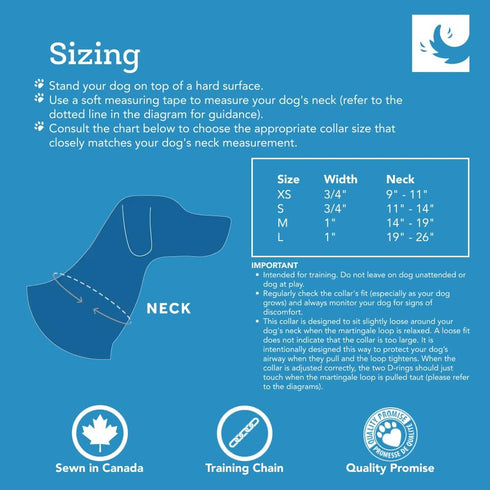 RC Pet Products Versatile, Effective, Martingale Training Collar | X-Small, Doodle Dogs...
