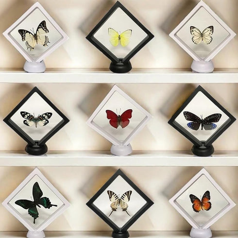 Real Dried Dead Butterflies with Spread Wings Shaped, Natural Unmounted Butterfly Specimens for Art, DIY Decorations, Taxidermy and Gifts for Kids...
