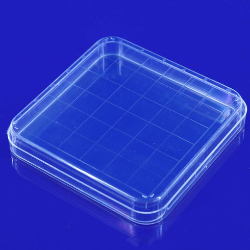 Scicalife 10 Sets Square Petri Dish with Lids, Plastic Material, Container for School Lab Science Experiment...
