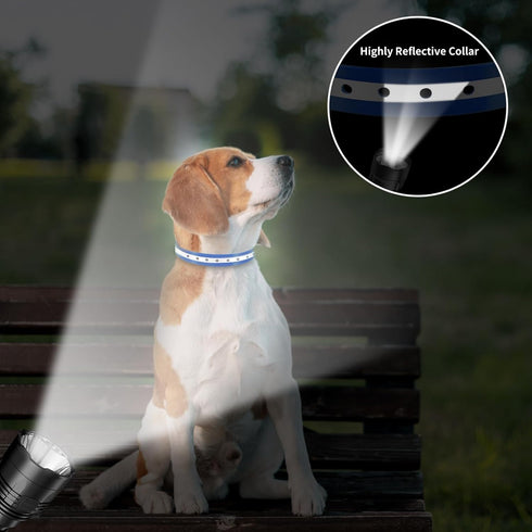 PaiPaitek Shock Collar Replacement Strap for Most of Training Collar, 3/4 Inch Dog Collar Replacement for Wireless Fence and Bark, Adjustable Wate...