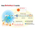 3 Ionic Toothbrush, Solar Panels and TiO2 Semiconductor, 3 Row Honeycomb Bristle Red, You can Brush Without Toothpaste...