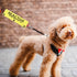 JXGZSO Reactive Not Aggressive Do Not Pet Dog Leash Sleeve Reactive Dog Leash Wrap (reactive D NOT P DLS)...