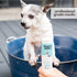 Mighty Mutt Soothing Dog Shampoo and Conditioner – Pet Friendly | Deodorizes Smelly Dogs | Detangles | Natural, Hypoallergenic & Anti-Itch Dog Sha...