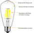 12V Edison Bulb 6W E26 12V LED Bulb Daylight 6000K 60W Equivalent, AC/DC 12V 24V 36V Low Voltage LED Light Bulb for RV Camper Marine, Off Grid Cab...