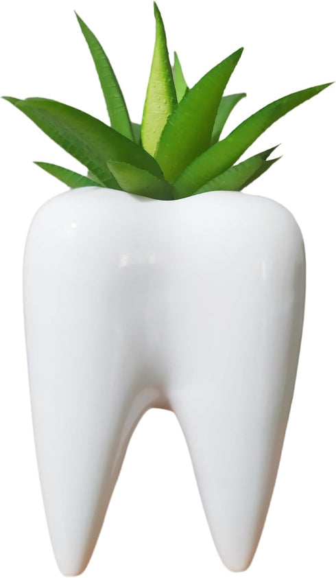 3.93 Inches Tall Tooth Shaped Ceramic Succulent Cactus Vase Flower Pot (Plants Not Included)...