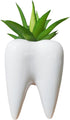 3.93 Inches Tall Tooth Shaped Ceramic Succulent Cactus Vase Flower Pot (Plants Not Included)...