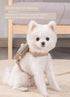 Dog Backpack Harness with Leash Pet Self Carrier Adjustable Travel Hiking Walking Harness Backpack for Small Dogs & Cats (Apricot, L)...